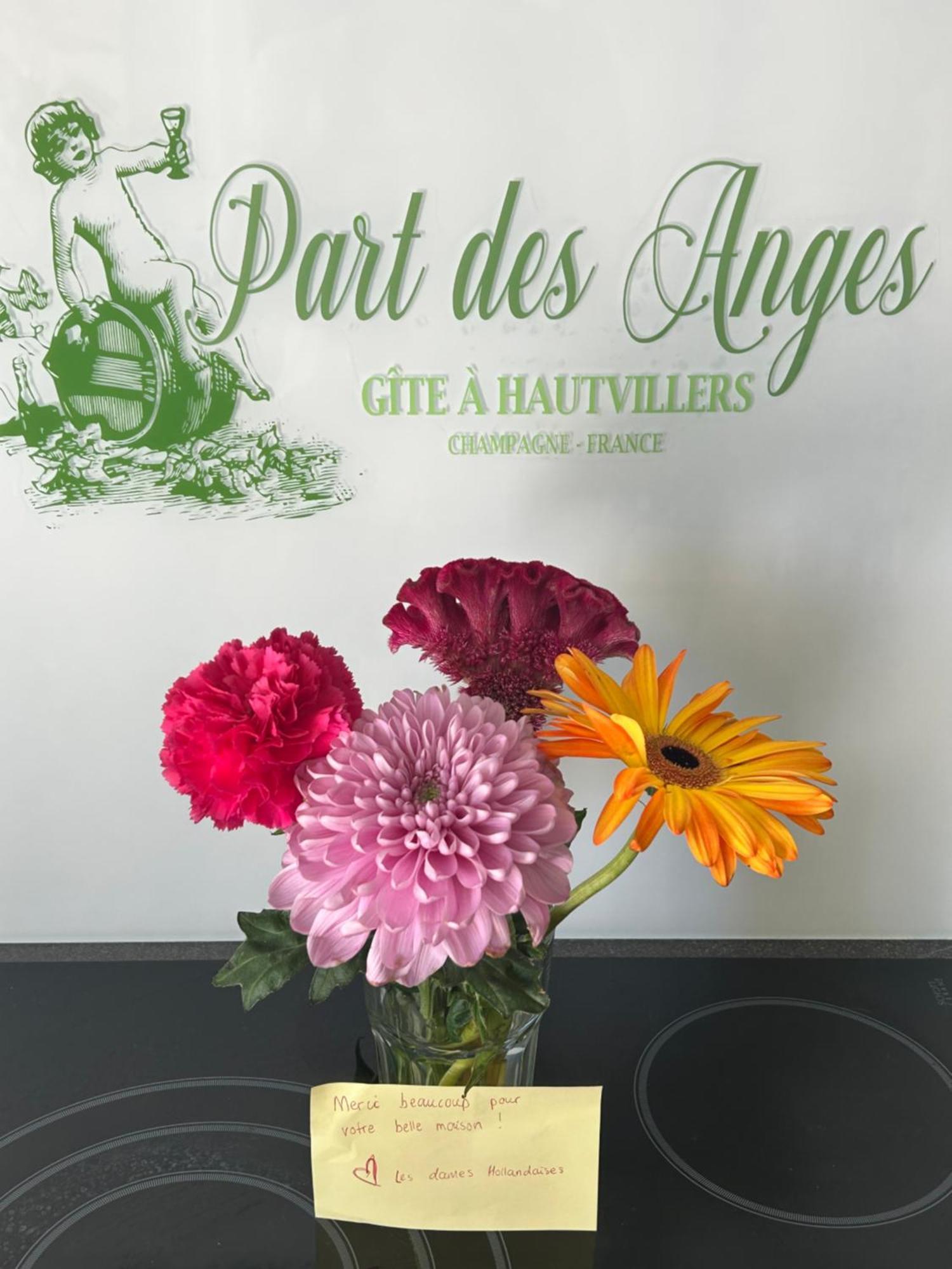 Part Des Anges - Gite Hautvillers Exterior foto
